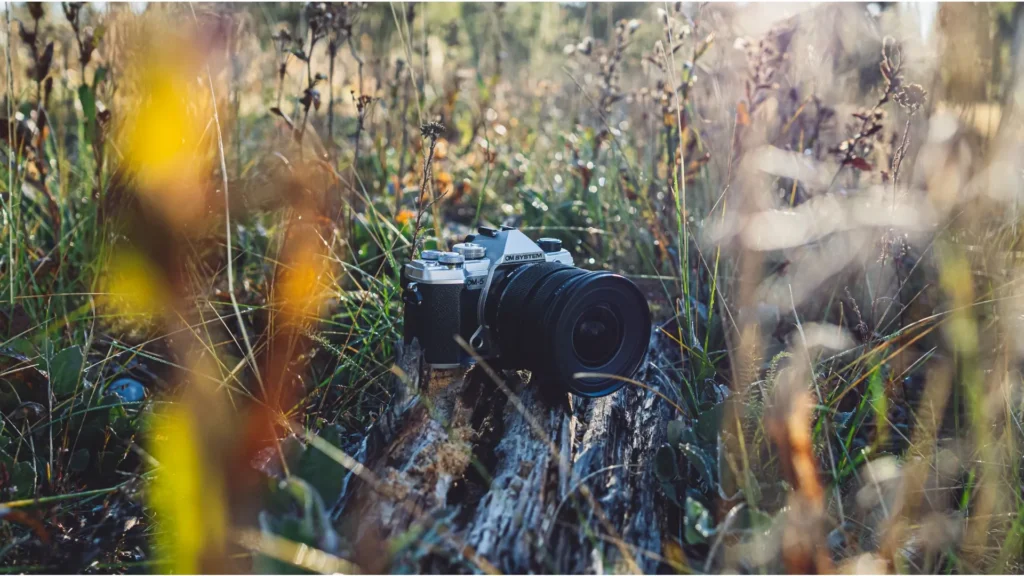 Camera in the grass field